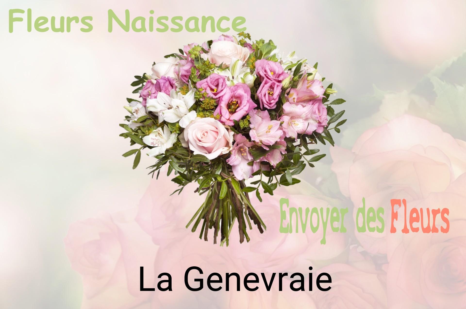 Bouquet de fleurs de naissance livré à La Genevraie